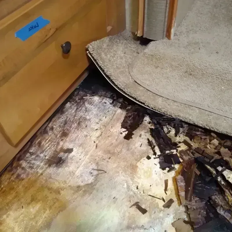 Best Wood Floor Water Damage Service in Wyndmoor, PA